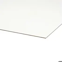 Hardboard 930x600mm rein wit voor Berdo BA bovenlicht 5mm