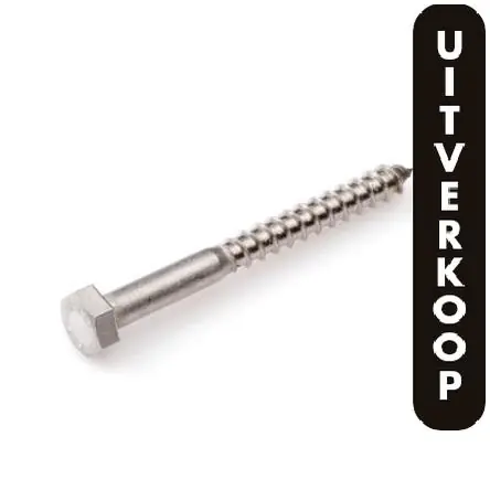 Proftec houtdraadbout RVS-A2 SW-10 DIN571 6x40 (25)
