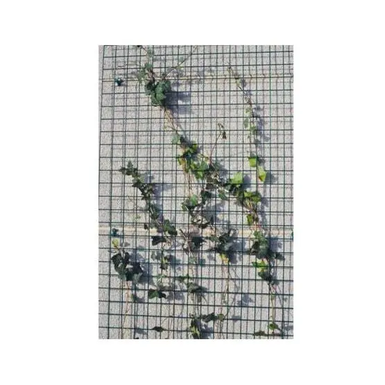 Giardino Bologna draadpaneel 150x40 cm RAL 6005 groen