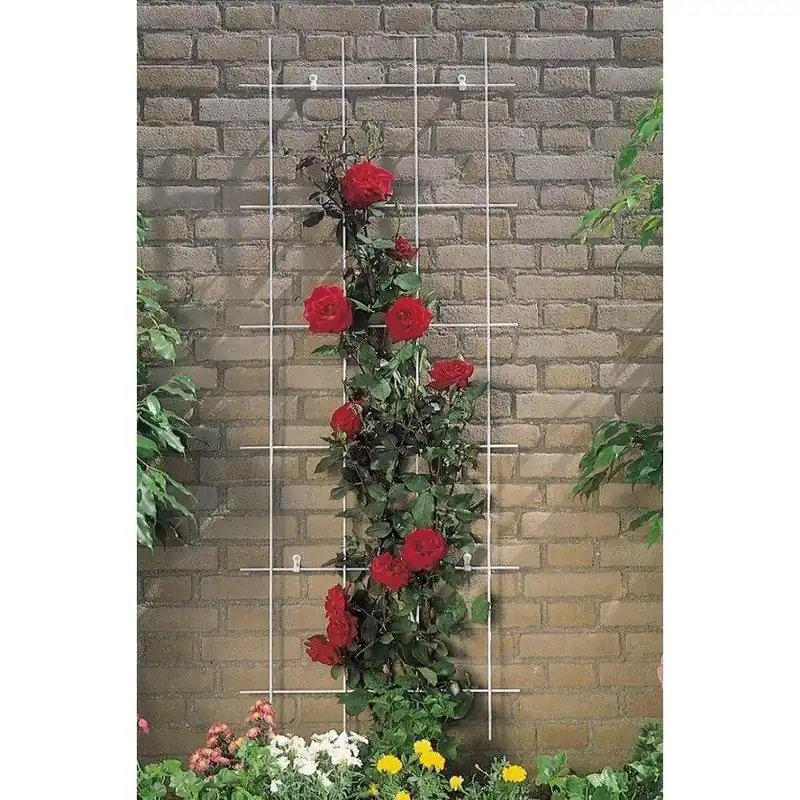 Metalen klimrek 150x60cm gegalvanis.