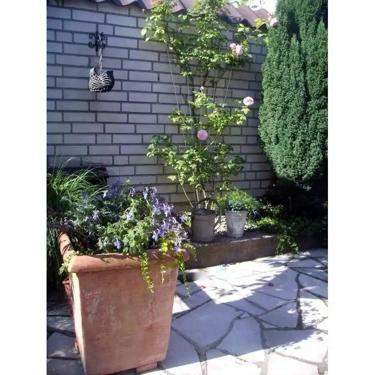 Metalen klimrek V-vorm 150x5/75cm gegalvanis.