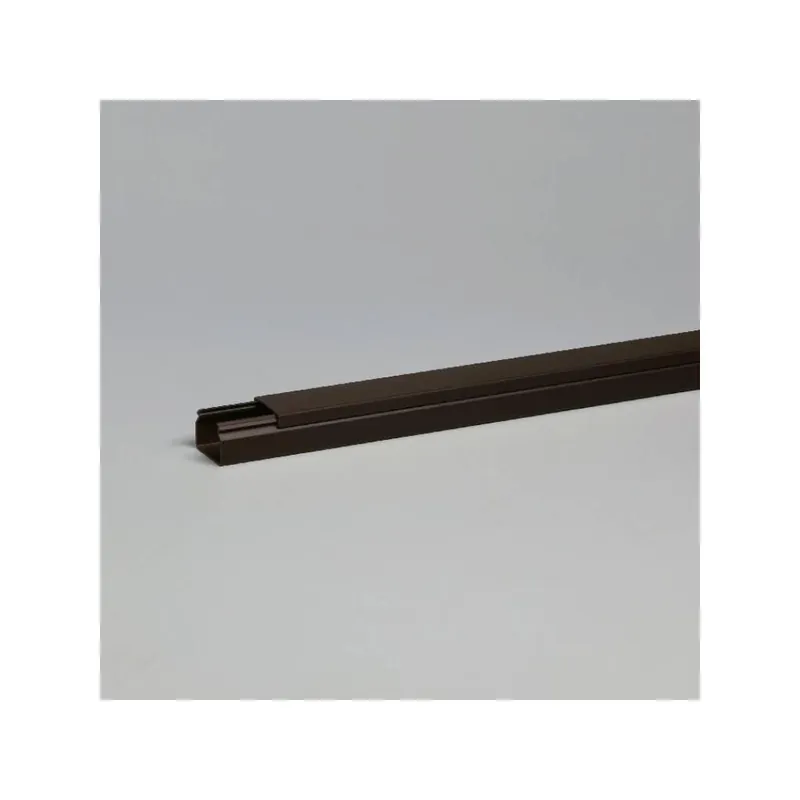 Leidinglijst 20 x 10 mm, 2 m bruin