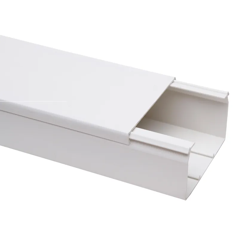 Kopp kabelkanaal 2 mtr. 100x60 wit