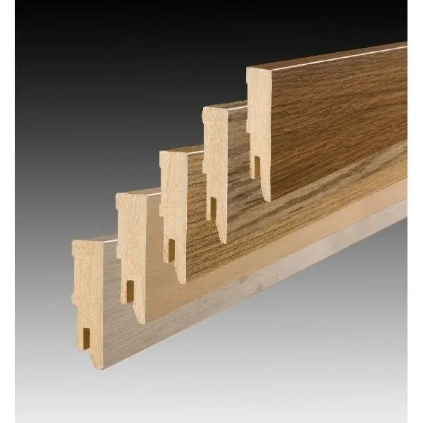 Maclean robuustplint Rodeo 65x15 mm. 240 cm.