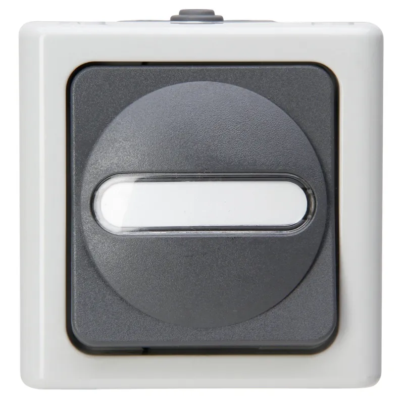 Blue Electric wisselschakelaar IP44 grijs
