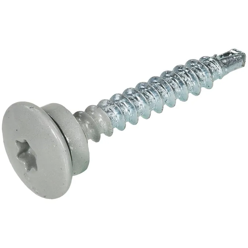 Dak & Gevel dakpanprofielschroef BP-1 VZ LBK TX-25 grafietzwart RAL9011 4.8x20 (50)