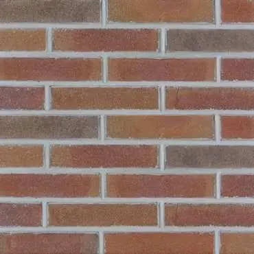 RodruzaVormbak WF rossums bont