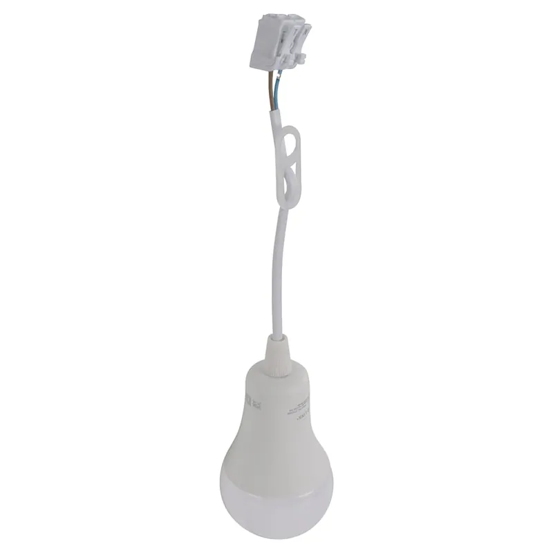 LEDlamp verhuisset 12w
