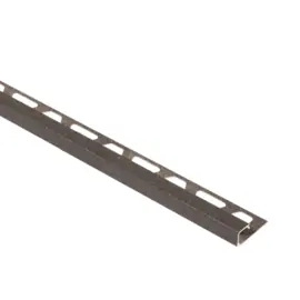 Schluter J110-TSLA Jolly-Trendline-TS tegelprofiel 11mm x 300cm Licht Antra