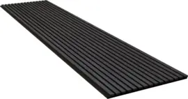 Matte Black Akoestische Paneel 60 x 260cm