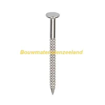 RVS nagel 30mm 250 stuks