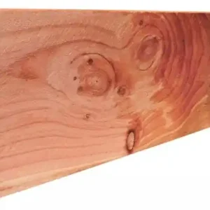 Woodvision Douglas geschaafde gording 4,5x16,0x600 cm, onbehandeld