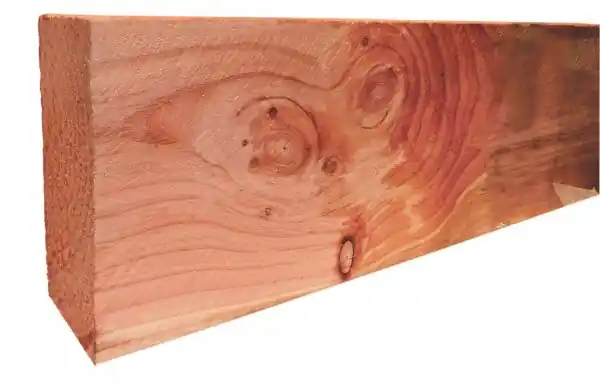 Woodvision Douglas geschaafde gording 4,5x16,0x600 cm, onbehandeld
