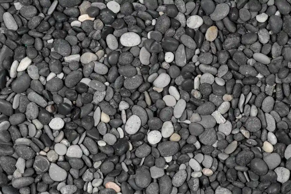 Castle Black grind gewassen Rond naturel 8-16 mm Kalksteen zwart 500 kg/MBB