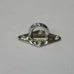 RVS plaat met oog: 80x50x3mm