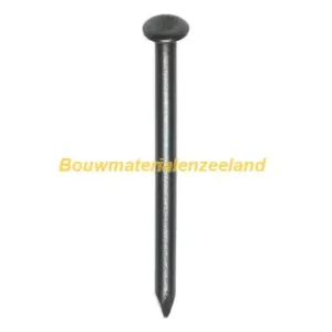 HJZ nagel (blauw) 3.0x60 bolle verz. kop ds 100 st