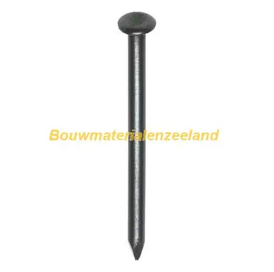 HJZ nagel (blauw) 3.0x60 bolle verz. kop ds 100 st