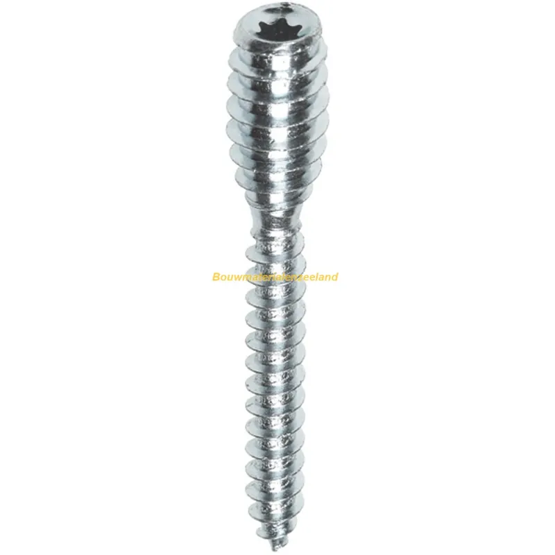 FIS PROFI afstandschroef 6x100 tx-25 verstelbaar verz. staal 4.8 ds 30 st
