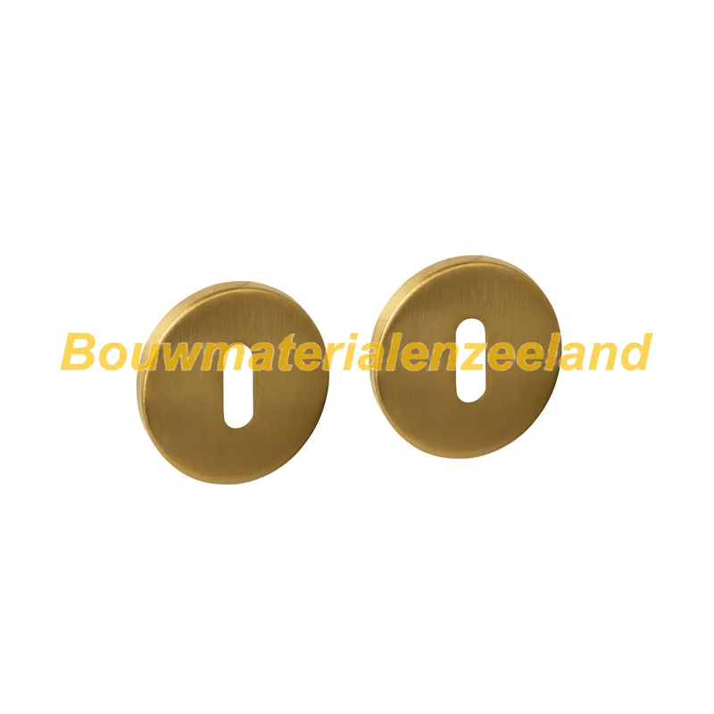 Sleutelrozetten verdekt ?52x6mm PVD messing mat