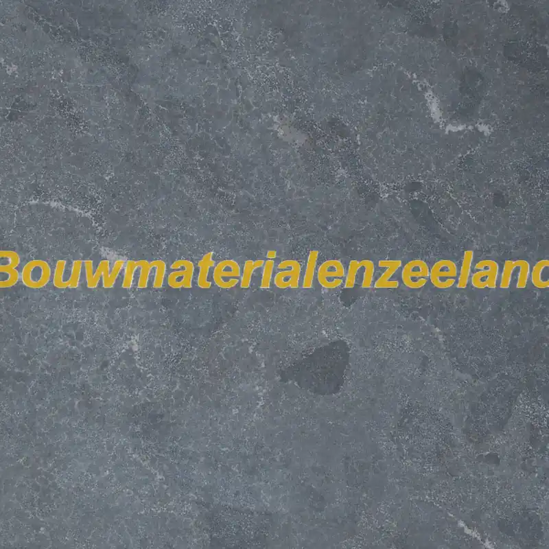 Hardsteen Spotted Bluestone 60x60x3 cm gezoet