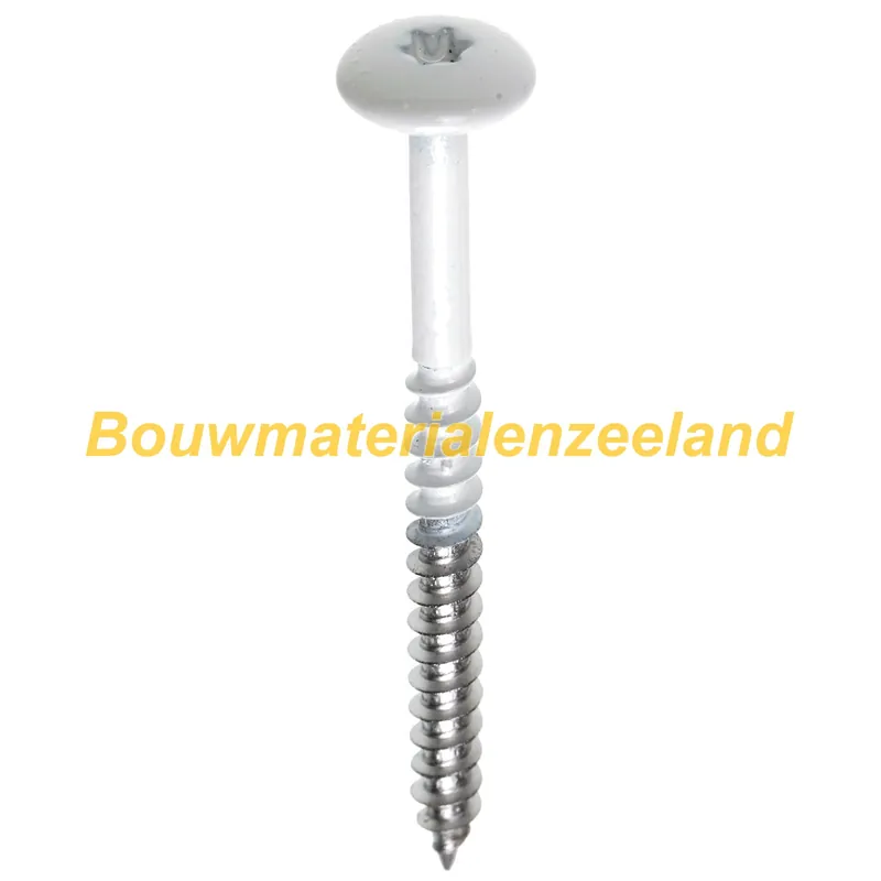 Fisinox kleurkopschroef 4,8 x 38 T20 A2 RAL 7039 kwartsgrijs