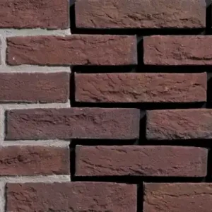 Wapper rood waalformaat handvorm
