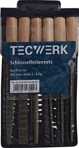 SLEUTELVIJL-SET LENGTE 100 MM KAP 2 TECWERK