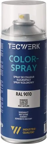 KLEURSPRAY ZUIVER WIT ZIJDEMAT RAL 9010 400 ML SPUITBUS TECWERK
