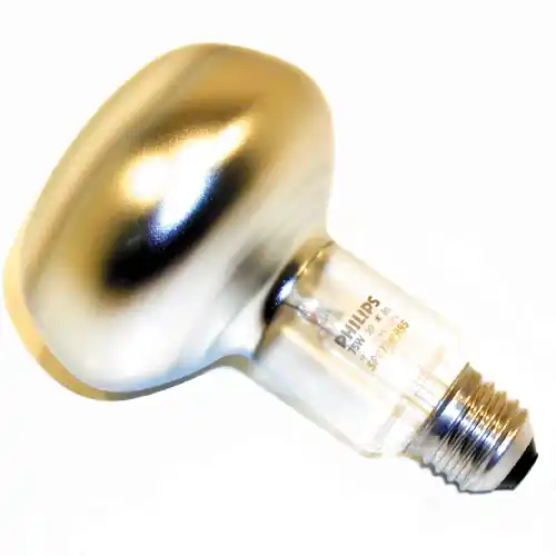 *R80 REFLECTOR LAMP 100W / E27 HELDER PHILIPS