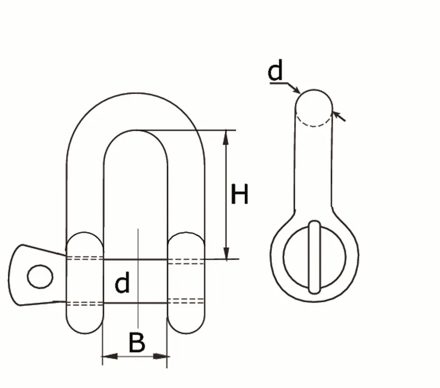 DS - 06 IZL / D-SLUITING 06MM RVS