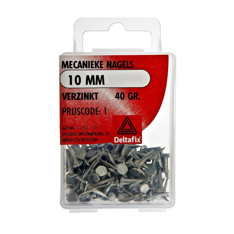 MENIEKE NAGELS VERZINKT 10 MM