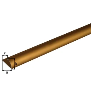 END PROFIEL ALUMINIUM GOUD 4,5X13,5 1 METER