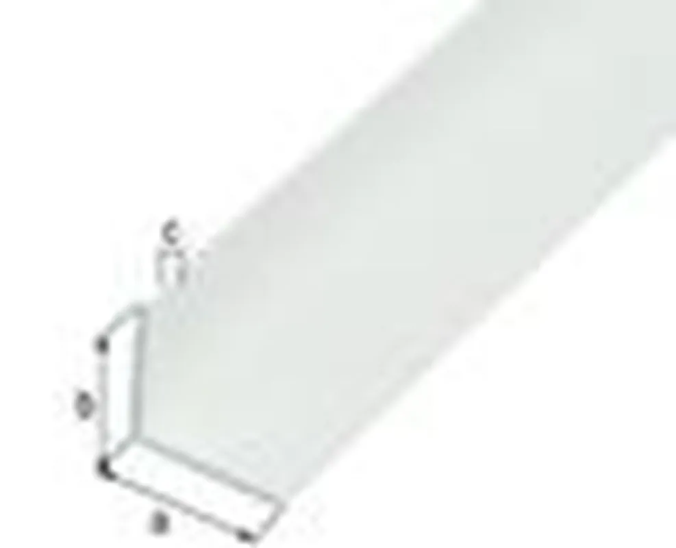 HOEKPROFIEL,PVC,WIT,25X25X1,8/2M