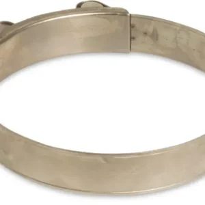 PROFEC SLANGKLEM RVS 304 23 MM X 25 MM TYPE W4 SUPER 18 MM