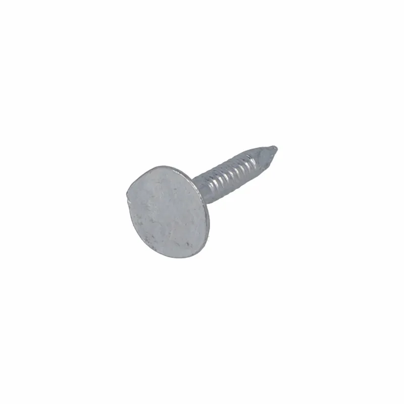 PROFTEC ASFALTNAGEL VZ PK 3.0X25 (1KG)