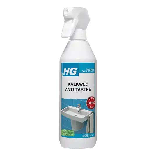 HG KALKWEG SCHUIMSPRAY 650 ML 650 ML