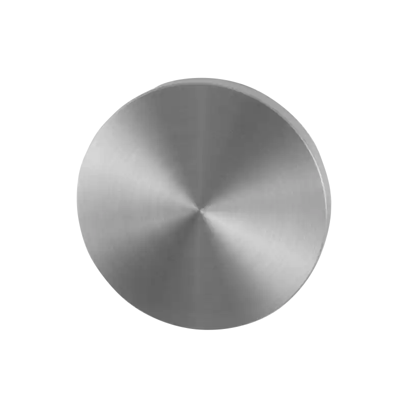 GPF0900VR RVS GEBORSTELD BLINDE ROZET ROND 53X6MM