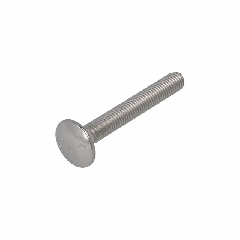 SLOTBOUT RVS-A2 DIN603 M10X120