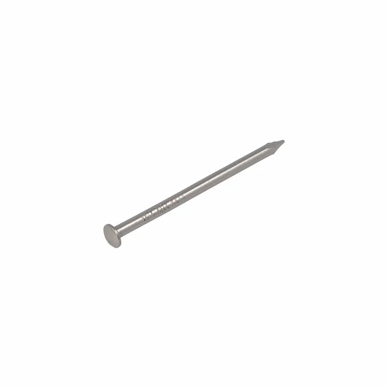 HOMEFIX DRAADNAGEL RVS-A2 1.6X25 (40GR)