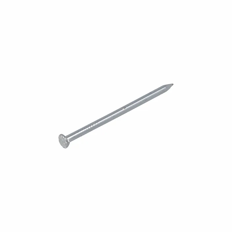 HOMEFIX DRAADNAGEL VZ PK 2.4X45 (200GR)