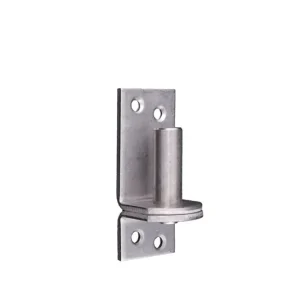 PLAATDUIM 16 D1 RVS P/4