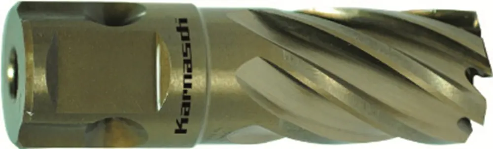 HSS-XE KERNBOOR GOLD-LINE, UNIVERSEEL 19, ø31X30