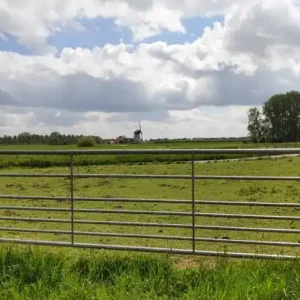 Schapenhek - landhek gegalvaniseerd