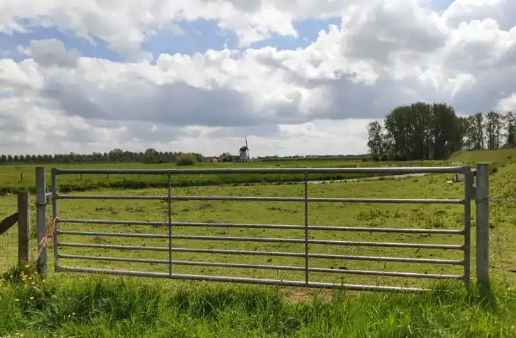 Schapenhek - landhek gegalvaniseerd