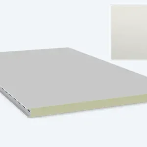 Wandpaneel, 60/1170 WZ-LL, kleur 9002, tweezijdig agricoating