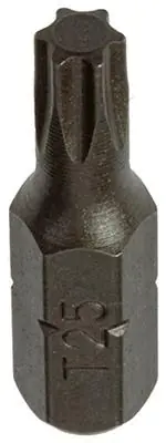 1017327 - TORX SCHROEFBIT STAAL ONBEHANDELD 2 ST T 25