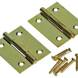 1013503 - 2 SMALLE SCHARNIEREN MESSING H 40 x B 32 mm
