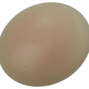 1017395 - AFDEKKAPJE VR PZ SCHR.KUNST. BEIGE 40 ST PZ 2
