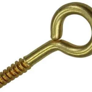 1019695 - SCHROEFOOG MESSING 2 ST 4,0 X 30MM