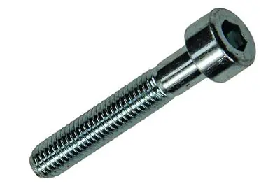 1017647 - BINNENZESKANT BOUT CYL.KOP VERZ. 8 ST M5 X 30 MM
